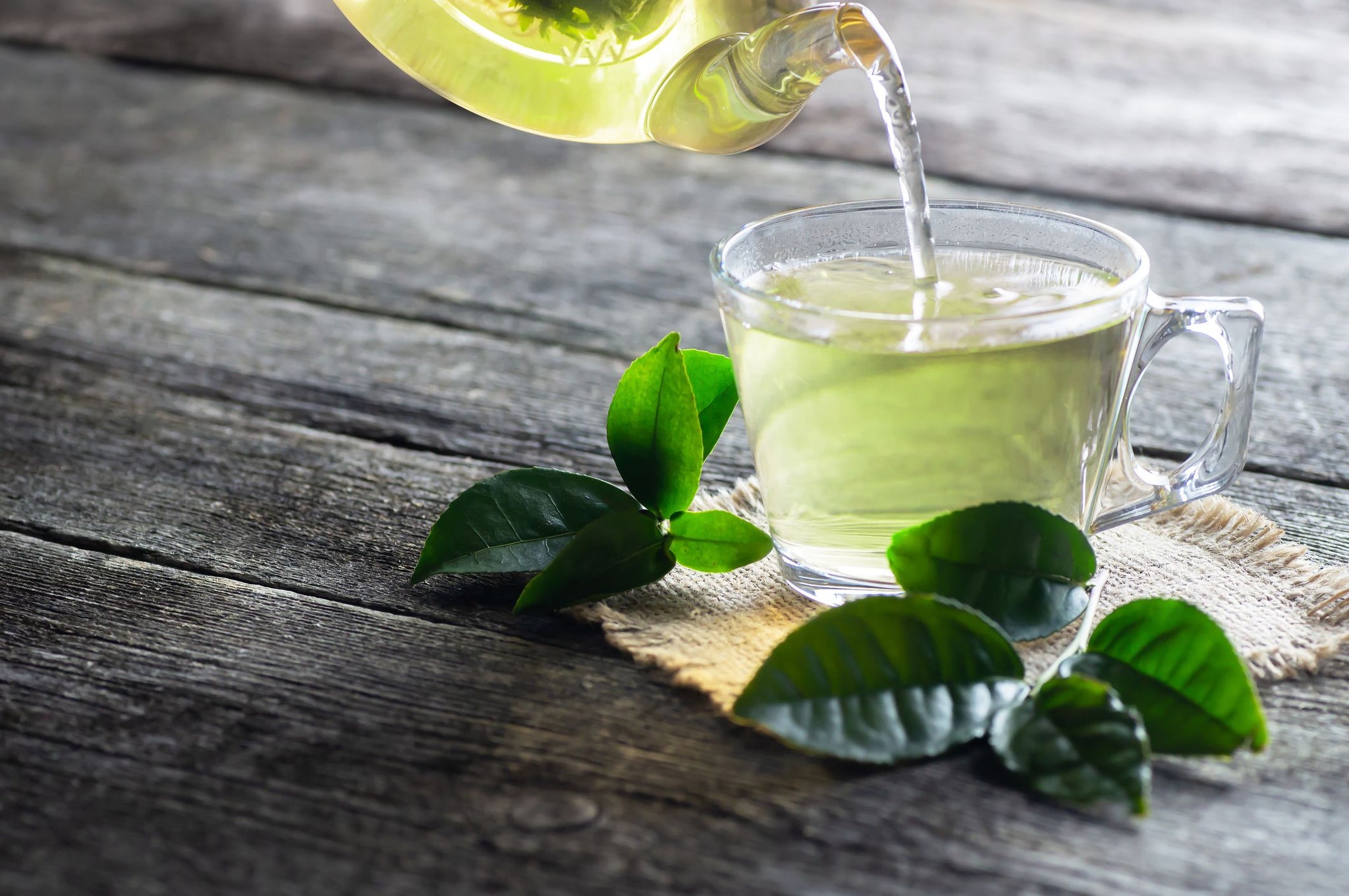 NO GUNK Ingredients Index: Green Tea (Camellia Sinensis Leaf Extract).